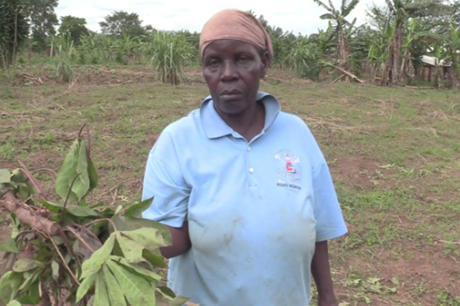 Elderly Woman Cries Out for Help Over Forceful Land Eviction in Wakiso
