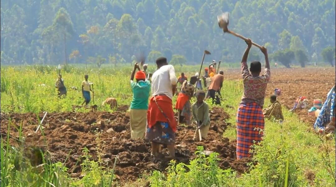 Govt Issues Weather Advisory to Help Farmers Navigate Seasonal Changes