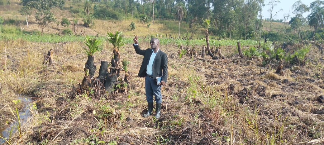 Authorities Raise Alarm as Wetland Coverage in Kitagwenda Drops