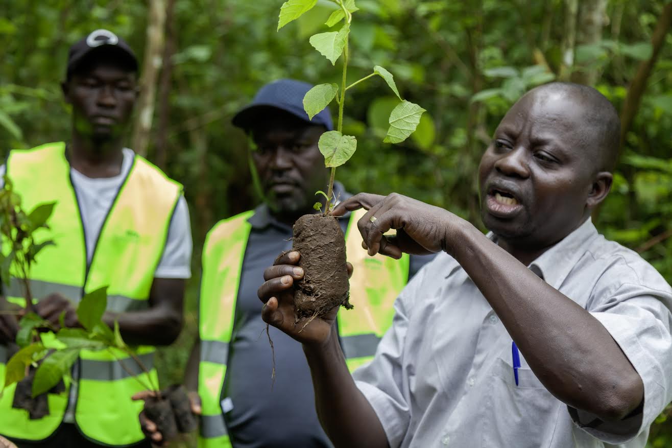 UBL, NFA ,Rotary Launch 80,000-Tree Restoration Project in Namananga Forest