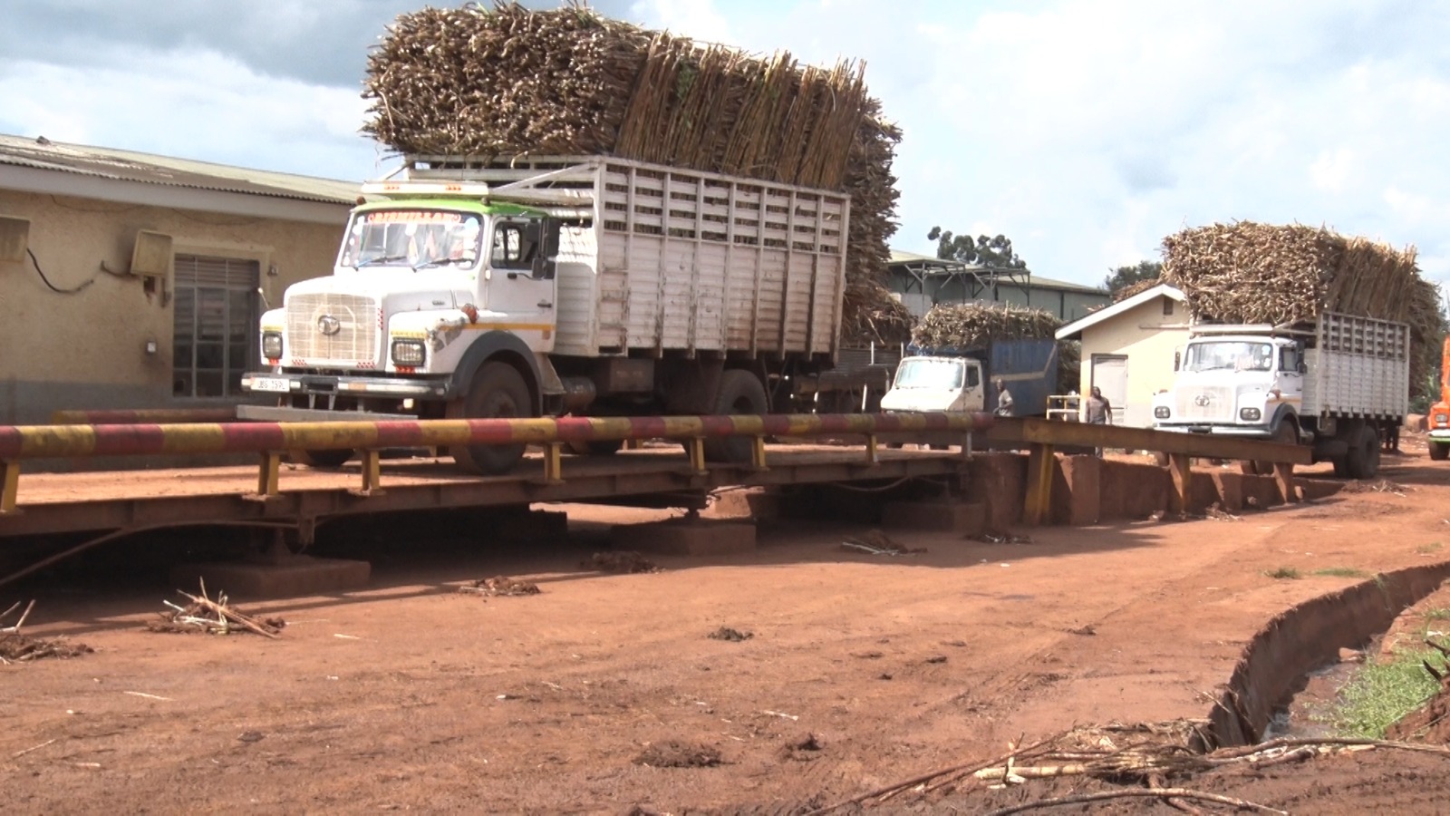 Busoga Sugarcane Farmers Reject Nabbanja Weighbridge Directive