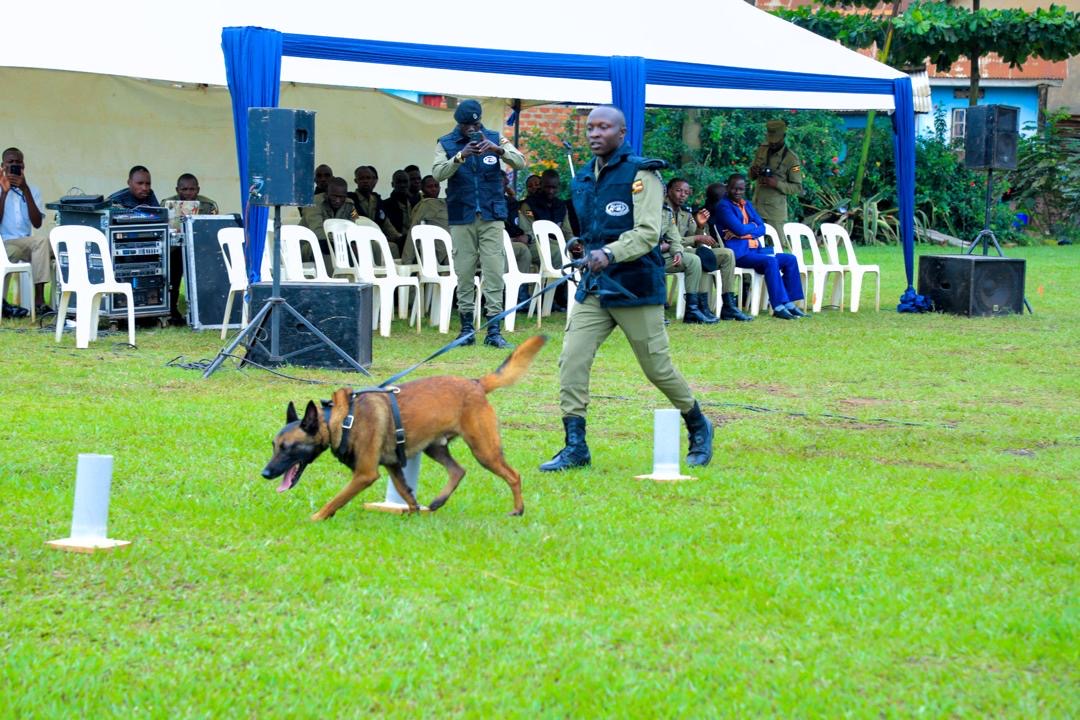 30 Police Officers Complete Basic Canine Handling and Dog Care Course