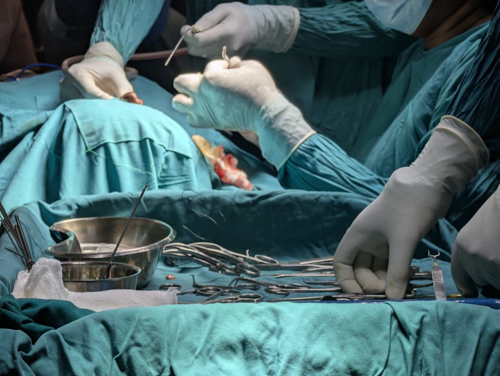 Rising Ear Infections and Noise Exposure Drive Hearing Crisis at Mulago