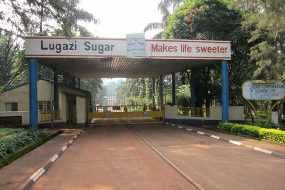 Lugazi Opposes CN Sugar Licence as Namayingo Farmers Push for Approval