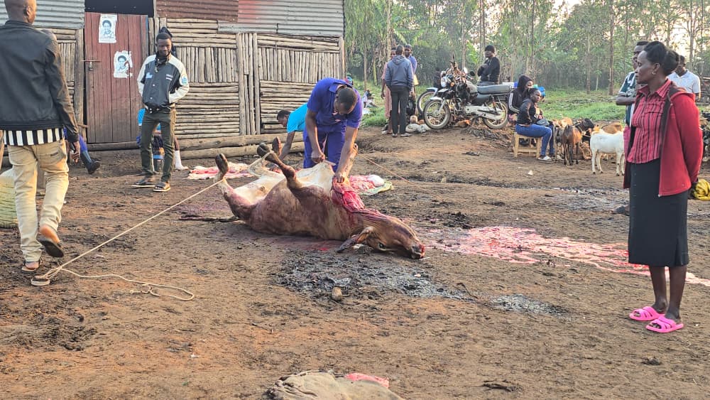 Meat Safety Concerns Rise as Lira City Abattoir Faces Poor Sanitation