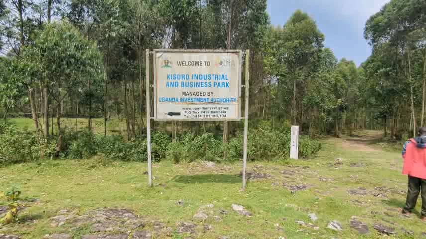 Kisoro Leaders Call for Action as Idle Industrial Park Turns to Grazing Land