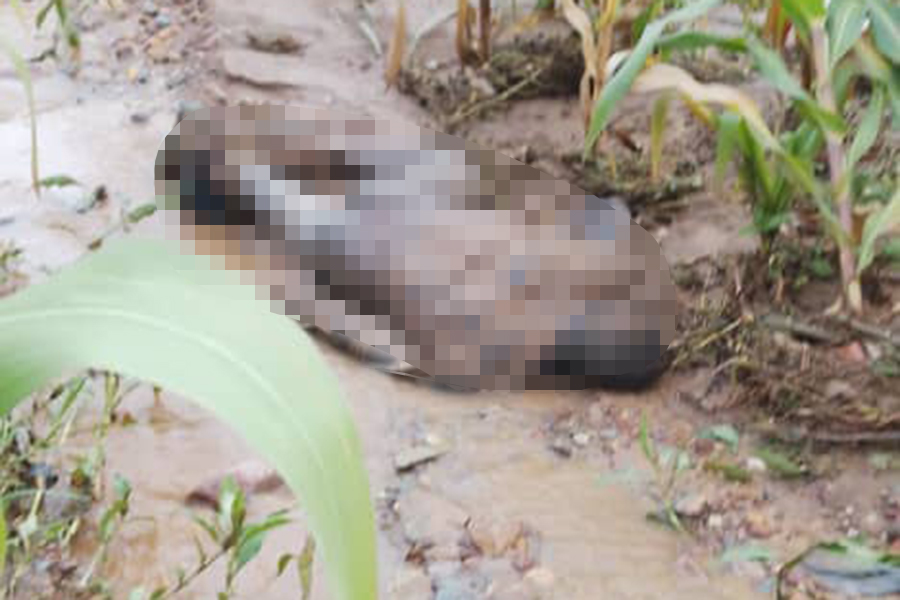 Landslides in Rubanda Leave One Dead, Homes and Roads Destroyed