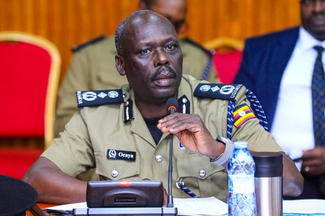 Police Reports 10.3% Drop in Crime, Says Deputy IGP