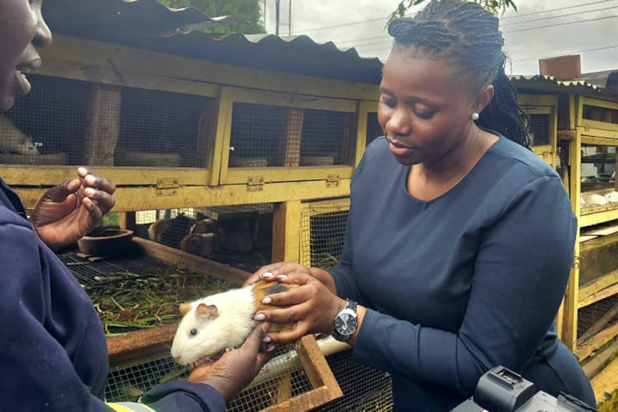 Woman Turns Rat Farming Into Thriving Family Business