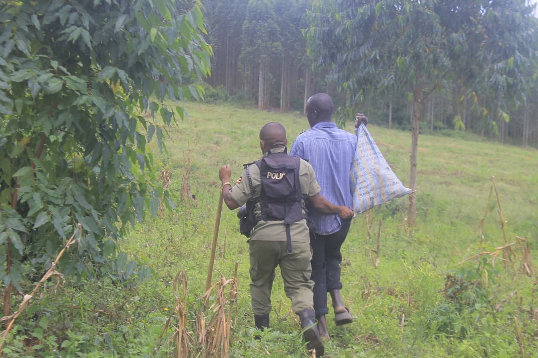 Tension Rises in Nsoowe Forest as Pastoralists Clash with Licensed Tree Growers