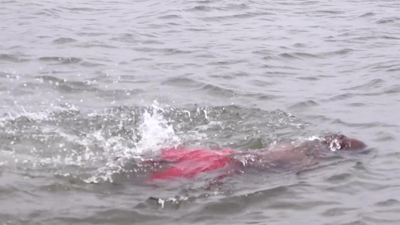 How Cracks, Overloading Sank Mayuge Boat and Left Six Dead on Lake Victoria