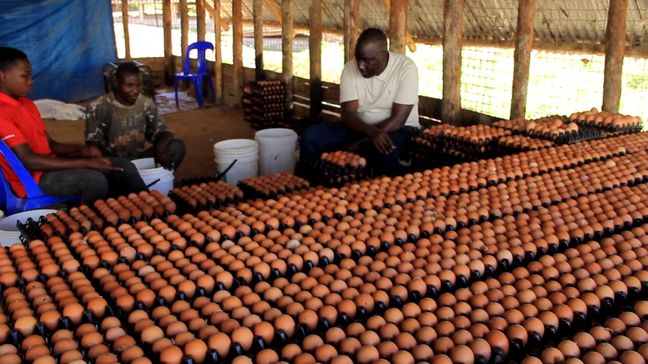 Can Farming Change Politics? Sserunjoji Thinks So