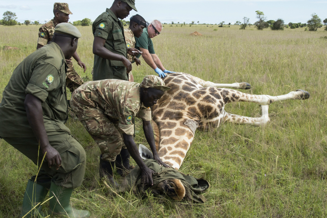 Fallen but Not Forgotten: UWA Supports Children of Rangers Who Died Protecting Wildlife