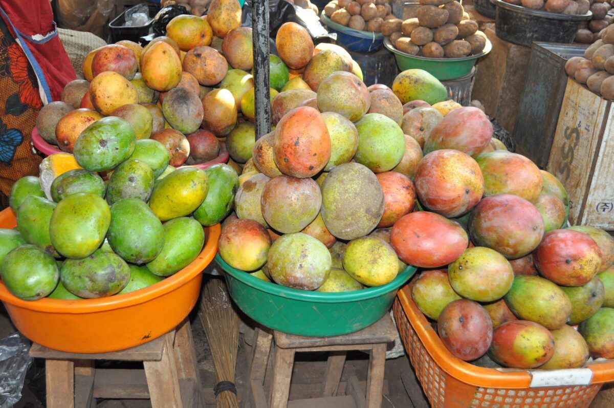 AGRA Food Security Monitor Highlights Opportunities to Boost Uganda’s Food Trade Competitiveness