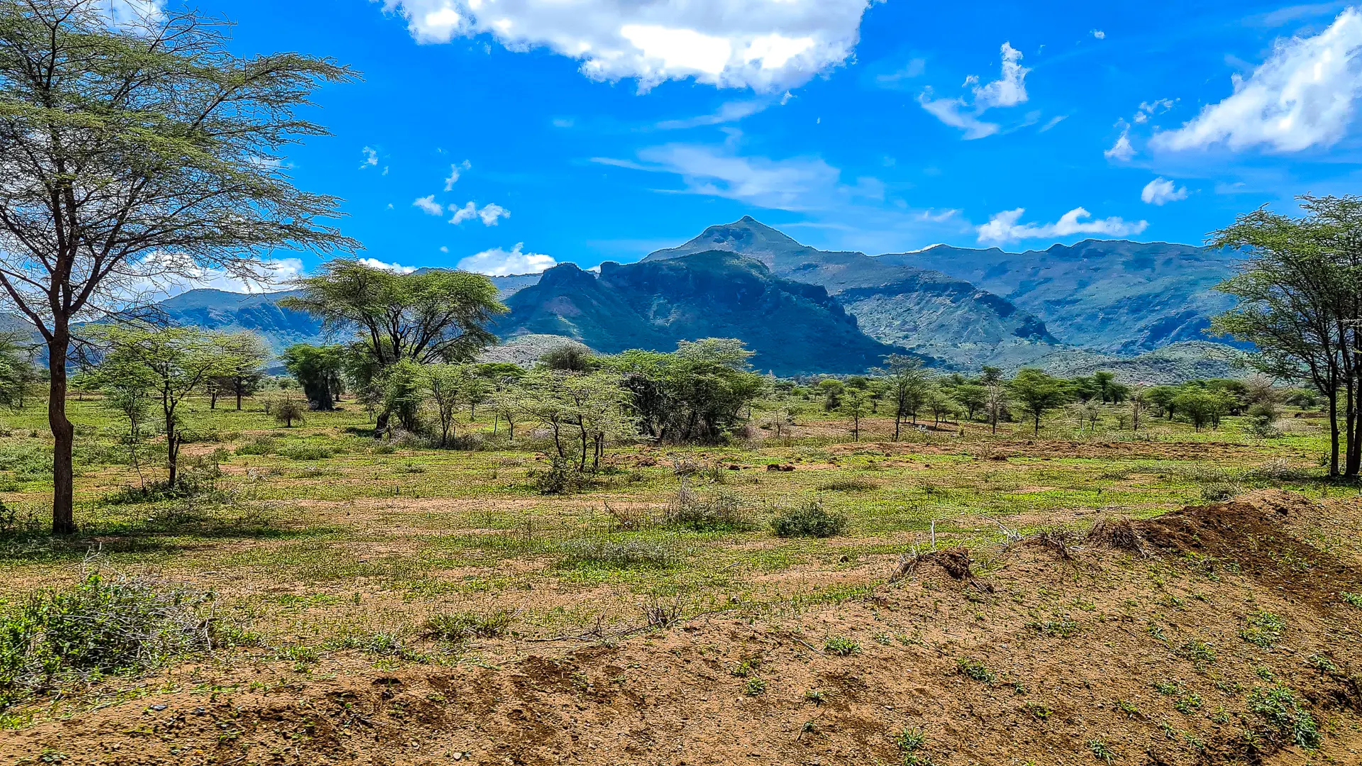 Investors Hesitant on Nature Markets Despite Conservation Potential
