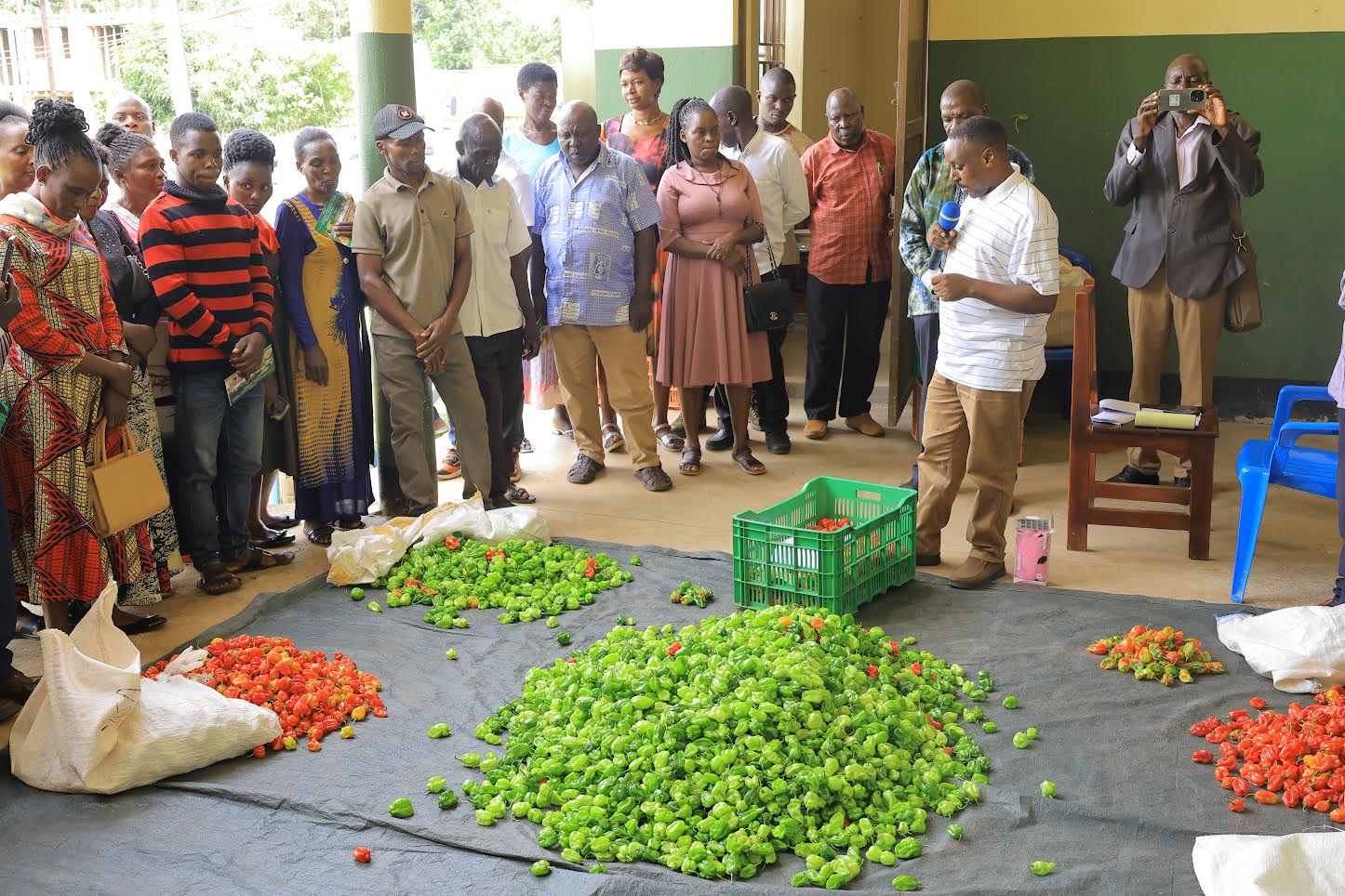 Bunyoro Farmers Partner with Exporter to Tap European Markets