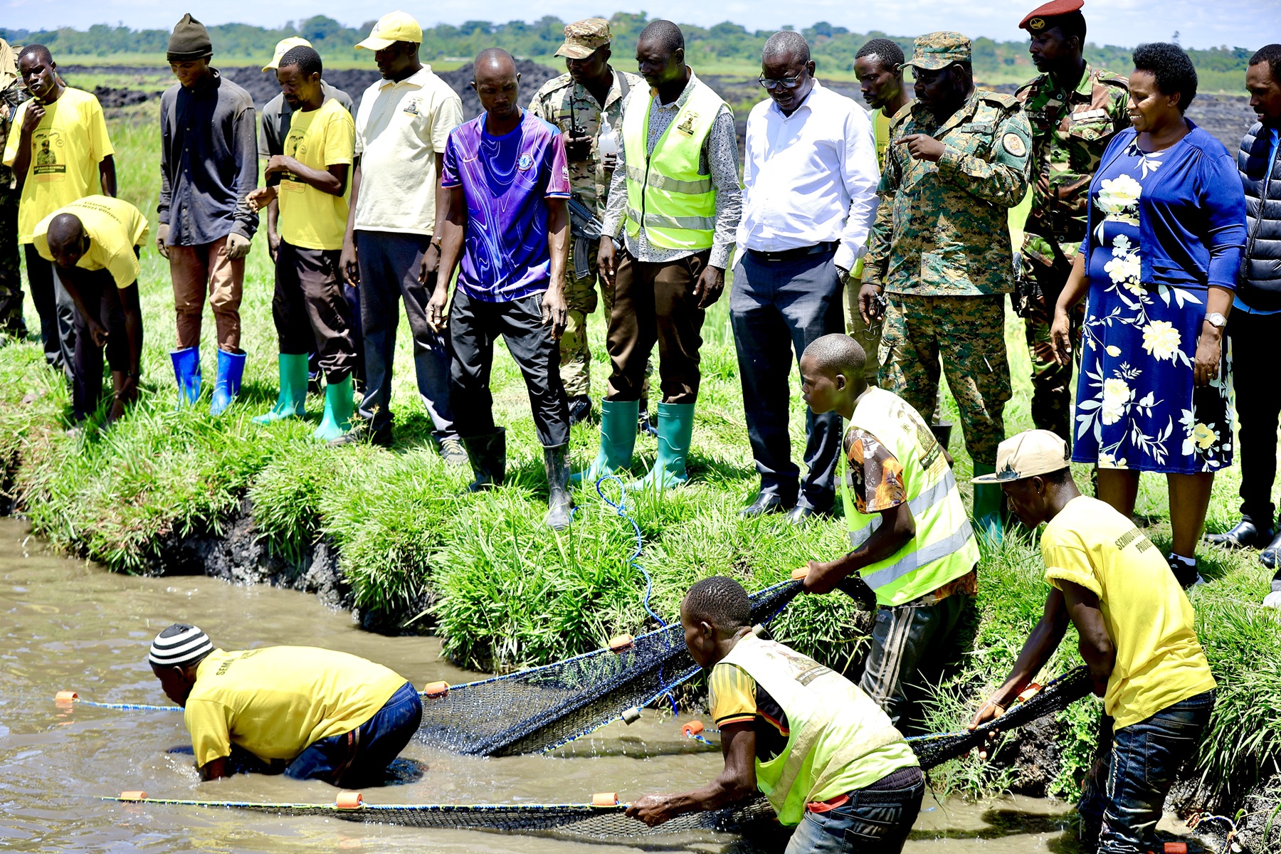Pallisa Farmers Hail Museveni Fish Farming Project as Profits Outshine Rice Growing