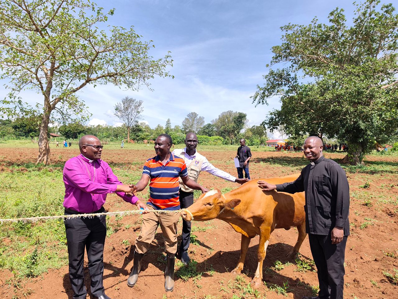 Church Distributes In-Calf Heifers to Boost Household Incomes, Food Security in East Busoga