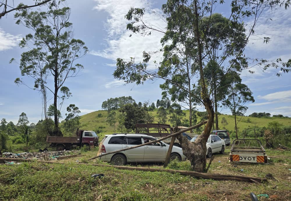 Double Eviction Leaves Ntungamo Garage Owners Stranded as Forestry Crackdown Intensifies