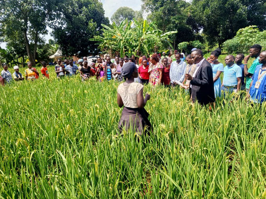 Over 10,000 Kikuube Residents Benefit from PDM Funds