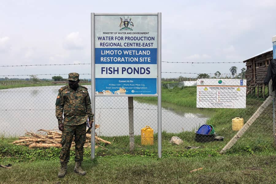 Limoto Wetland’s New Wave: From Rice Fields to Thriving Fish Farms