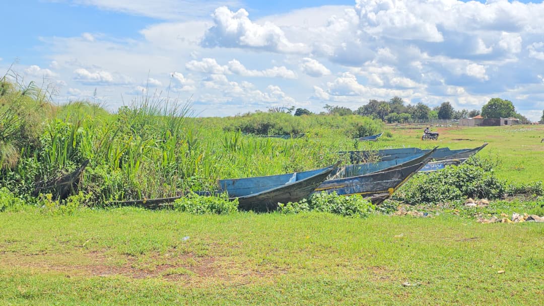 Declining Fish Stocks, Rising Costs Hit Fishing Communities on Lake Kyoga
