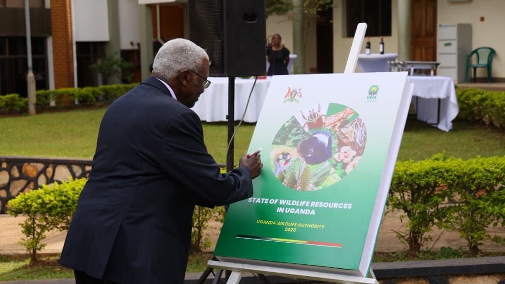 Wildlife Populations Rise but Key Species Decline, New Uganda Report Warns