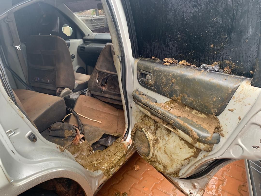 Police Recover Suspected Stolen Cattle in Pre-Dawn Nateete Operation