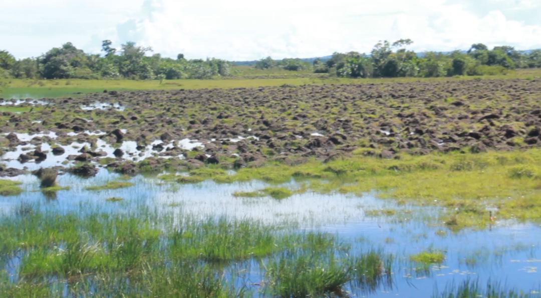 Masaka Industrial Park Project Hit by Flooding  concerns 