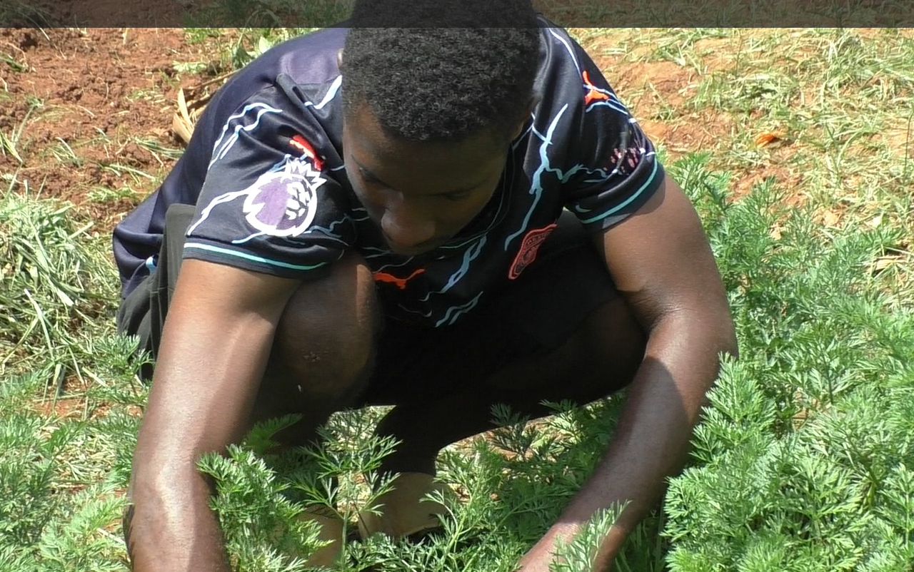 How Bukalasa’s Four-Acre Model is Transforming Agricultural Training