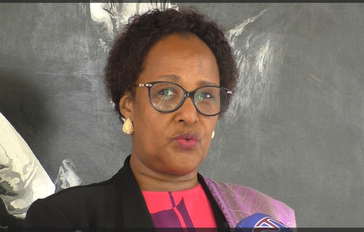 Stakeholders Urge Government to Remove Barriers to Electric Mobility Growth