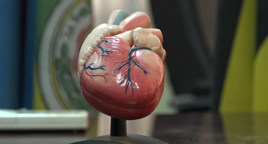 Heartbreak Driving Surge in Cardiac Cases as Ugandan Experts Raise Alarm