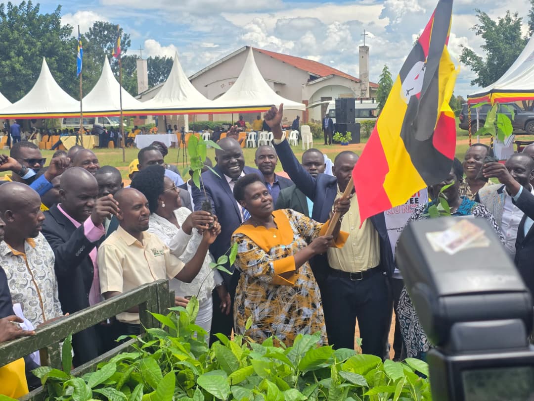 Bukedi Leaders Turn to Coffee,Cocoa in New Fight Against Poverty