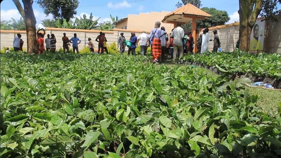 Government Agencies Unite to Drive Agricultural Transformation