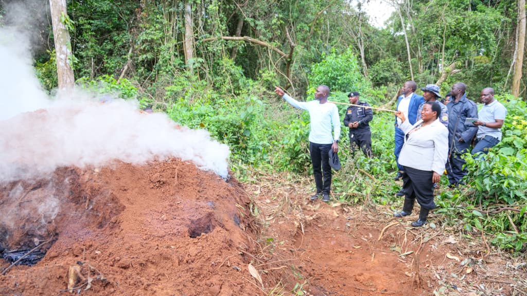 Bugoma Forest Handover Marks New Push Against Encroachment and Destruction
