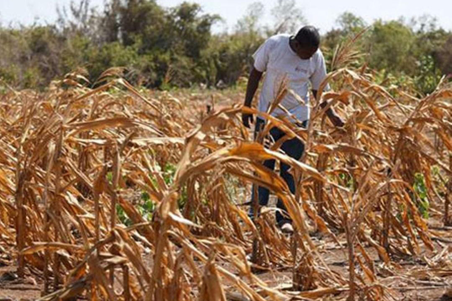 Climate change hits farmers hard in Bukomansimbi