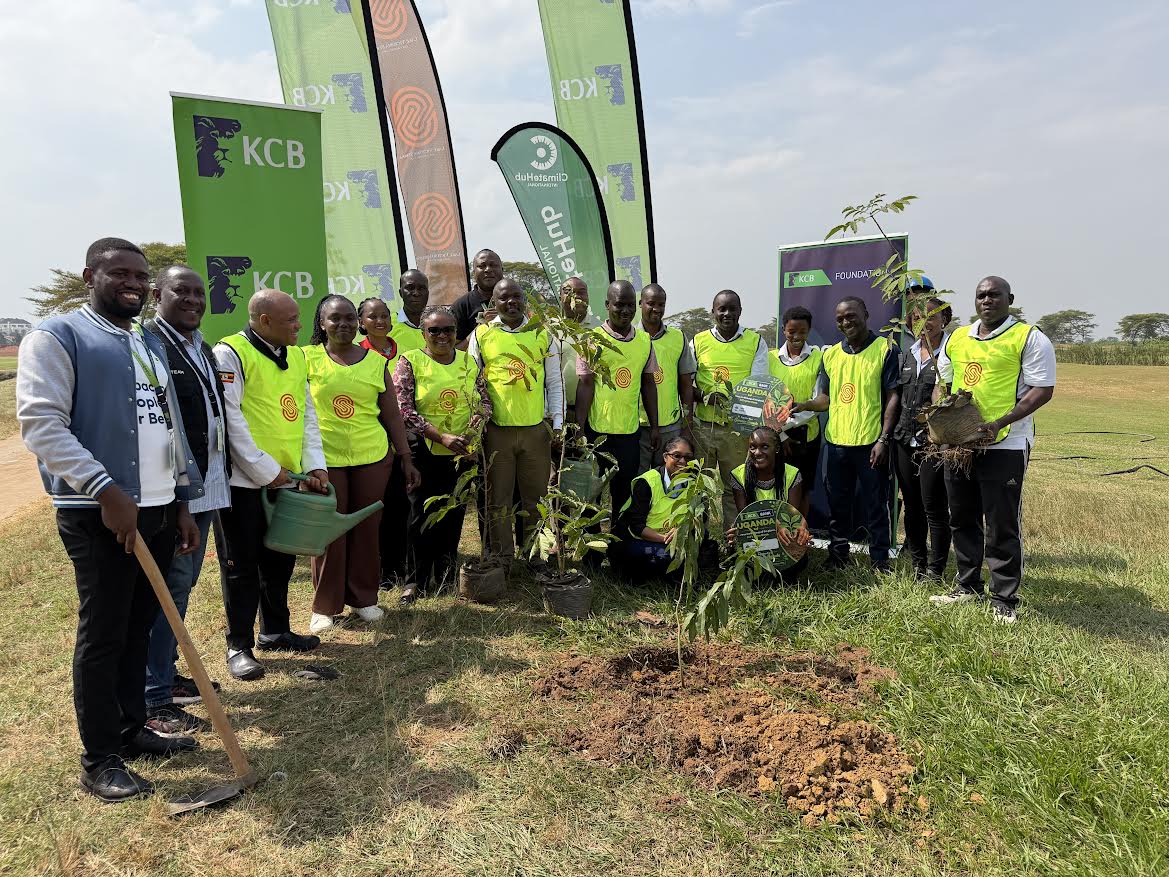 KCB Bank Uganda Plants 300 Trees in Kigo to Advance Climate Action Agenda