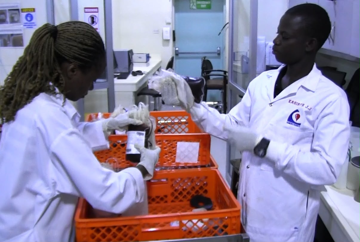 Malaria-Stricken Children Consume 60% of Uganda’s Blood Supply as Demand Outpaces Collections