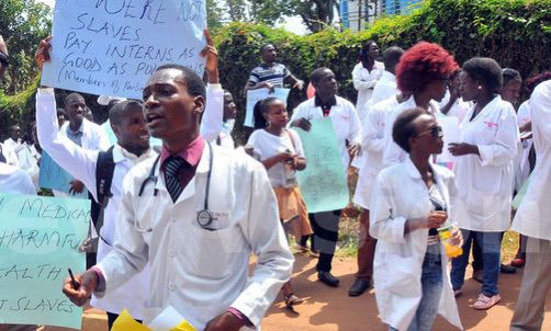 Dental Association Slams Government Decision to Halt Interns’ Pay