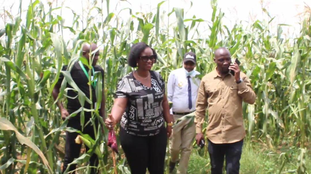 Children of Former NRA Fighters Seek More Govt Support to Expand Farming Projects