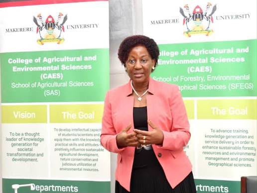 Makerere Climate Initiative Launches Youth Skilling Programme to Promote Green Enterprises