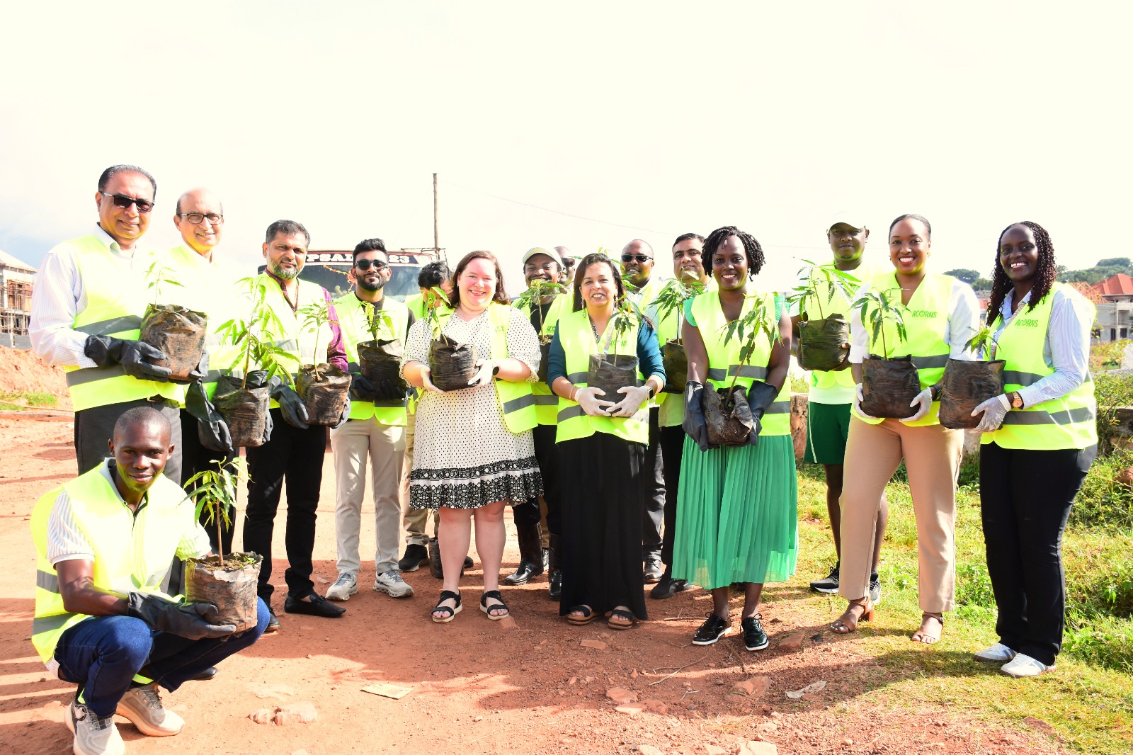 Acorns Plants 1,000 Trees to Boost Environmental Conservation