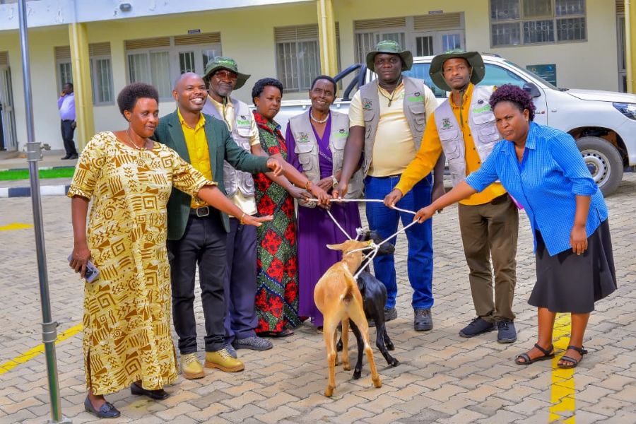 ECOTRUST Distributes Ruminant Animals to Model Agroforestry Farmers in Kamwenge District