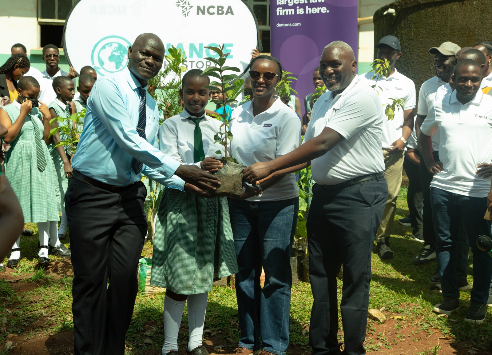 NCBA Bank Plants Trees at Nakasero Primary School to Mark World Environment Day