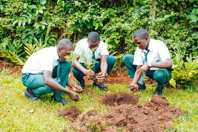 Jubilee Insurance, My Tree Initiative Mark World Environment Day with Tree-Planting Drive in Wakiso