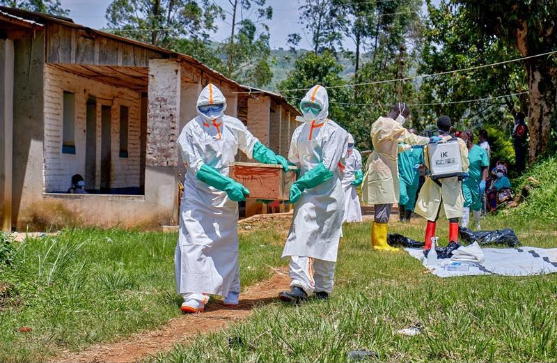 DRC Ebola Outbreak Escalates as Cases Surge to 515