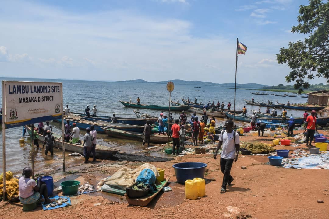 Fishing Communities at Lambu Landing Site Decry Poor Services Despite Economic Contribution