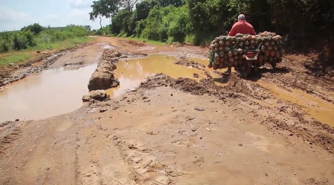 Kakuuto Residents Demand Road Upgrades to Boost Trade and Agricultural Productivity
