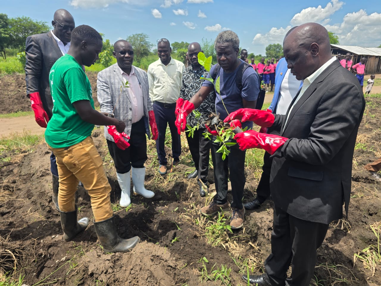 Adjumani Intensifies Tree Planting Drive to Restore Degraded Ecosystems