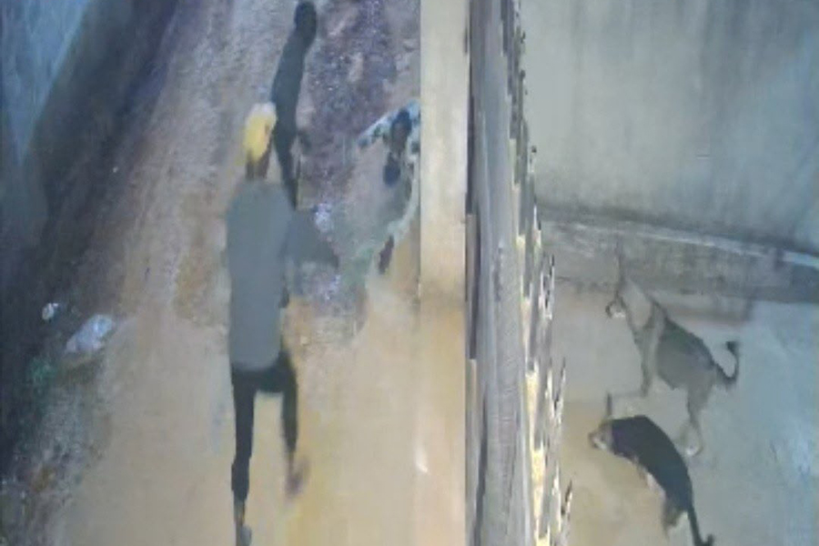 Police Probe Viral Video of Panga-Wielding Gang Attack in Wakiso